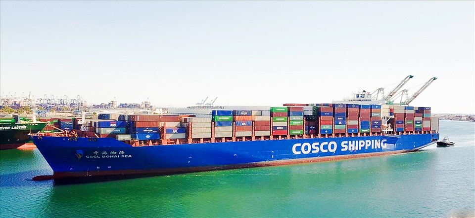 Đầu tư phát triển logistics, tạo lực đẩy cho tăng trưởng kinh tế
