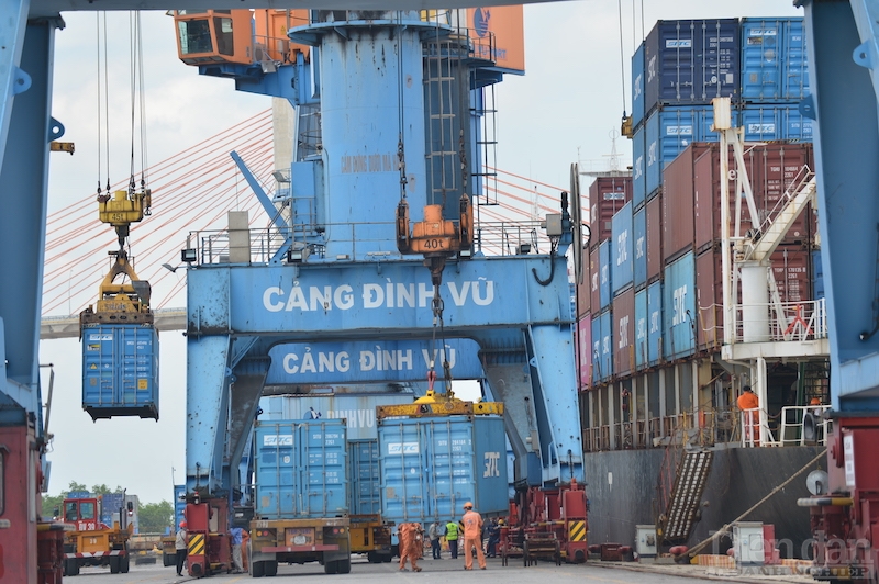Cần “sếu đầu đàn” dẫn dắt ngành logistics